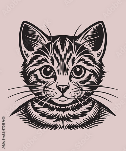  Cat Art & Illustration