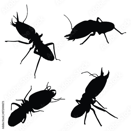 Termite Art Silhouette Vector Illustration Bundle