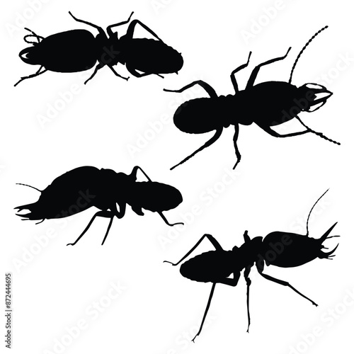 Termite Art Silhouette Vector Illustration Set