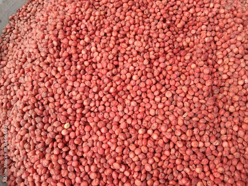 Top view of Hybrid sorghum sudan grass red seeds pile displayed in order on vendor's.Sorghum × drummondii red seeds pile show for sale in the market. Sorghum sudangrass red seeds pattern Top view of Hybrid sorghum sudan grass red seeds pile displayed in order on vendor's.Sorghum × drummondii red seeds pile show for sale in the market. Sorghum sudangrass red seeds pattern