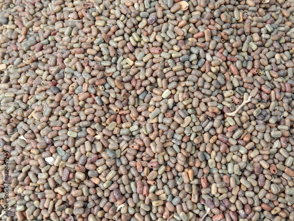 Top view of Sesbania bispinosa seeds pile displayed in order on vendor's.dhaincha seeds pile show for sale in the market. Top view of Sesbania bispinosa seeds pile displayed in order on vendor's.dhaincha seeds pile show for sale in the market.