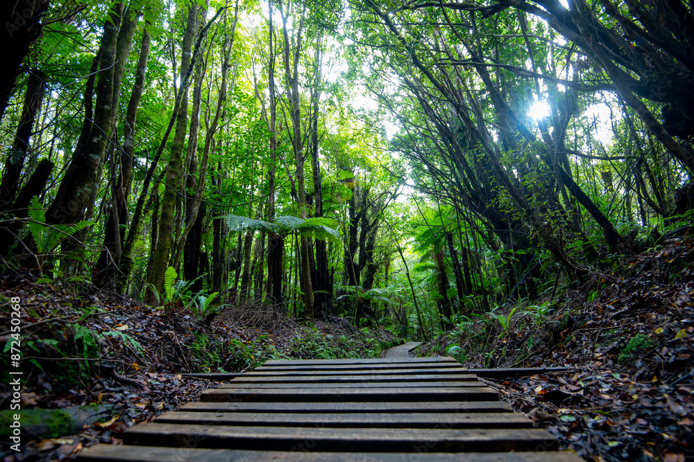 Pouakai Tarns Track - New Zealand