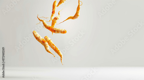 Boost Vitality with Cordyceps Extract for Beauty Skin and Good Health, Isolated on White Background photo