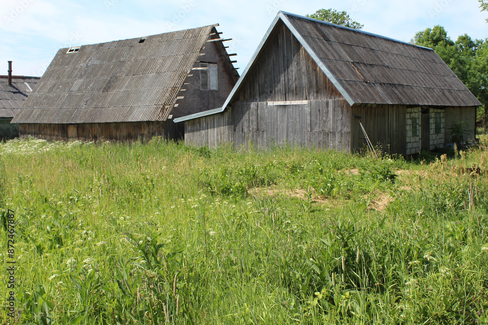 Two traditional wooden farmhouses in Latvia in summer Two traditional wooden farmhouses in Latvia in summer