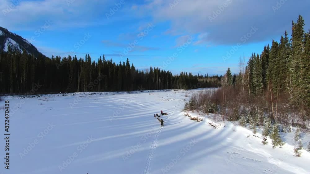 Aerial: Drone Forward Shot Of People With Husky Dogs Moving On Sled In Winter Forest Under Cloudy Sky - Calico Bluff, Alaska Aerial: Drone Forward Shot Of People With Husky Dogs Moving On Sled In Winter Forest Under Cloudy Sky - Calico Bluff, Alaska