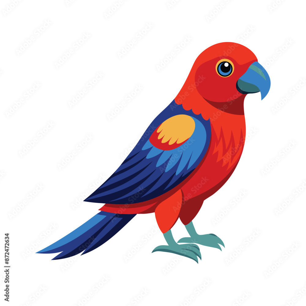 Fototapeta premium Illustration of Crimson Rosella on white