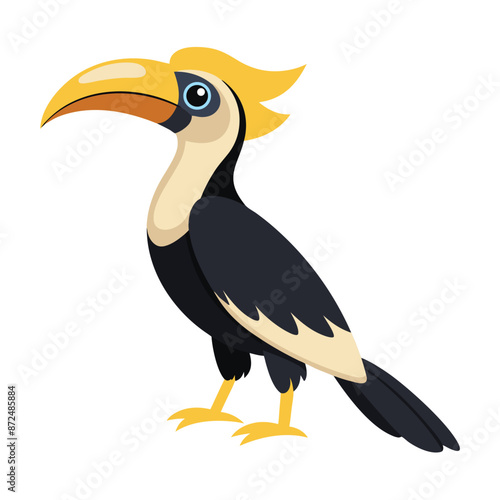 Illustration of Malabar Pied Hornbill on white