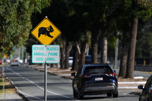 Canvas Print Wide shot orange black Koala crossing phone hotline warning sign vehicles drivin