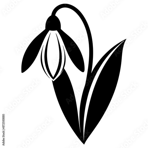 Snowdrop flower vector silhouette illustration