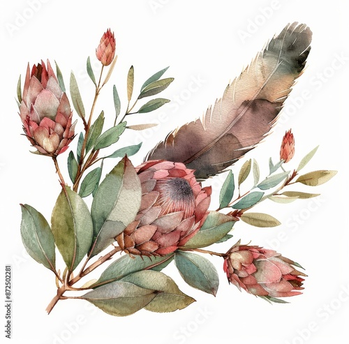 Watercolor Painting of Pink Proteas and a Feather