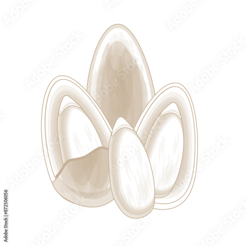 Vector illustration logo line art pine nuts