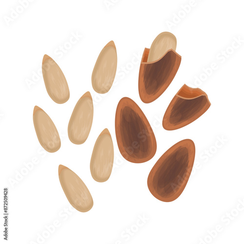 Vector illustration logo Clip art Whole and shelled pine nuts