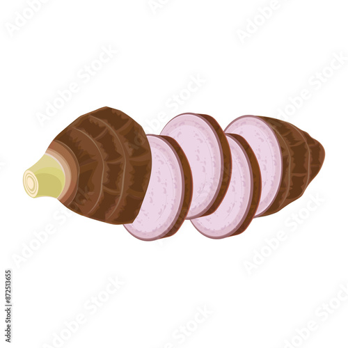 Vector illustration logo clip art sliced ​​taro roots