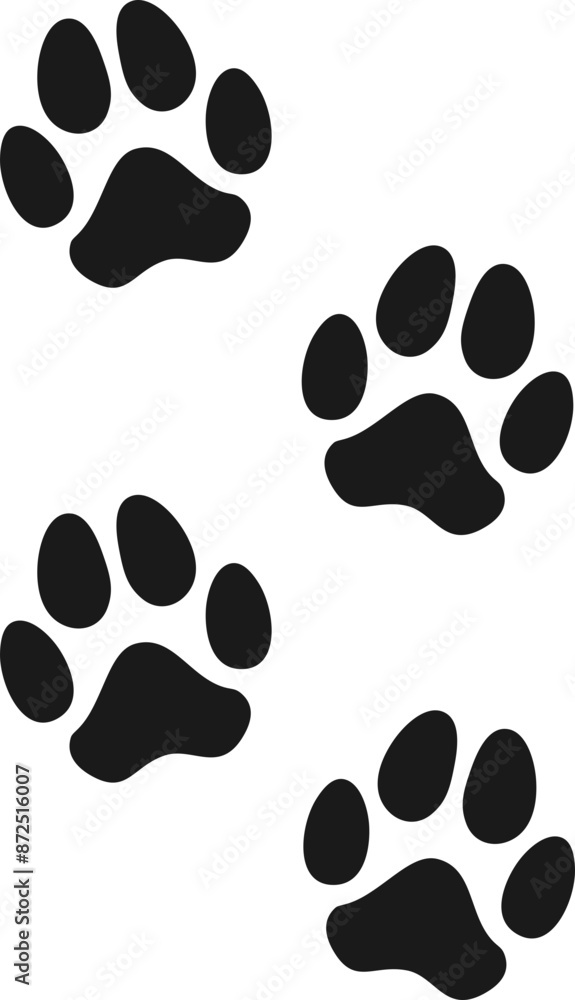 Cat And Dog Paw Cat And Dog Paw