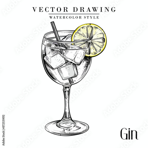 Gin alcoholic cocktail vector vintage watercolor style