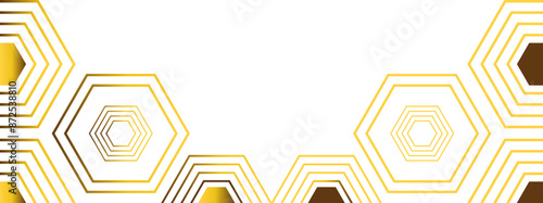 golden hexagon frame bottom decoration