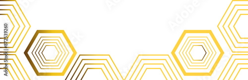 golden hexagon frame bottom decoration