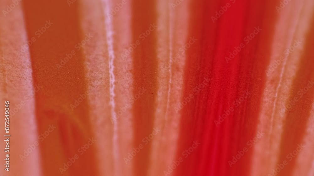 Varnish drip. Glitter paint drop. Defocused vivid red orange color sparkling gel texture ink wave motion abstract art background. Varnish drip. Glitter paint drop. Defocused vivid red orange color sparkling gel texture ink wave motion abstract art background.