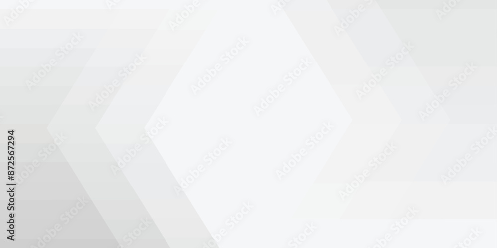 Obraz premium Abstract Geometric modern white and gray color. Modern and Creative Trend design