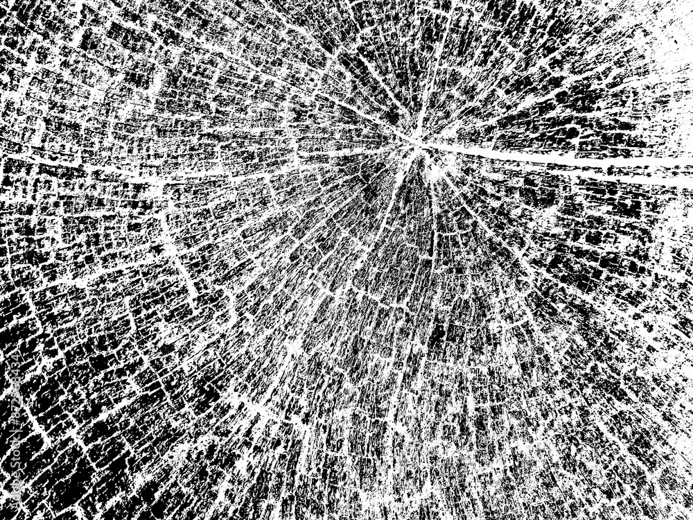 Fototapeta premium Wood texture, wooden grain texture with a transparent background, wooden overlay texture. Design background