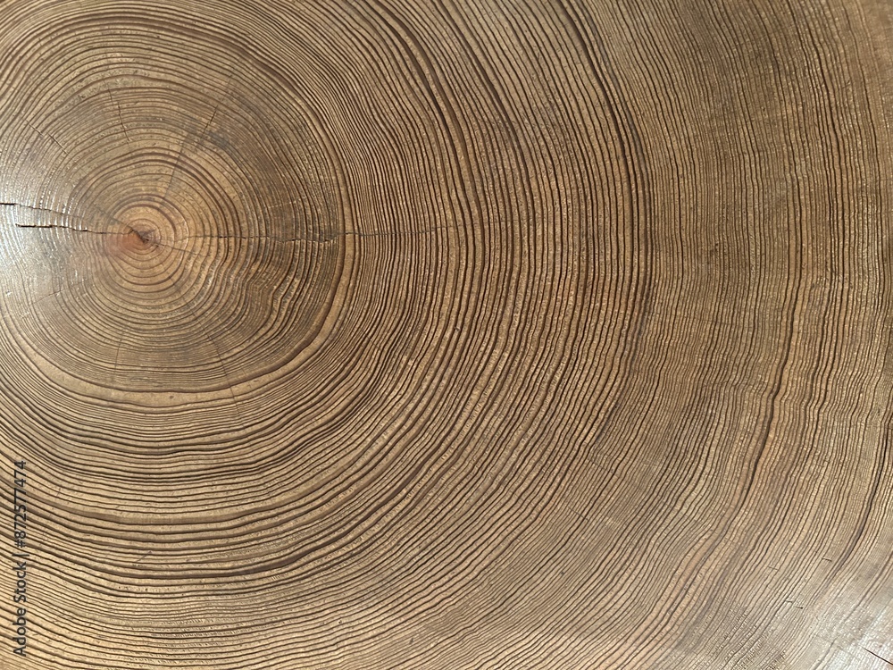 Fototapeta premium Yakushima is a World Heritage Site island located in Kagoshima Prefecture, Kyushu, Japan, is home to Yakusugi cedar trees over 1,000 years old, pristine beaches, and Japan's best sea turtle nesting si