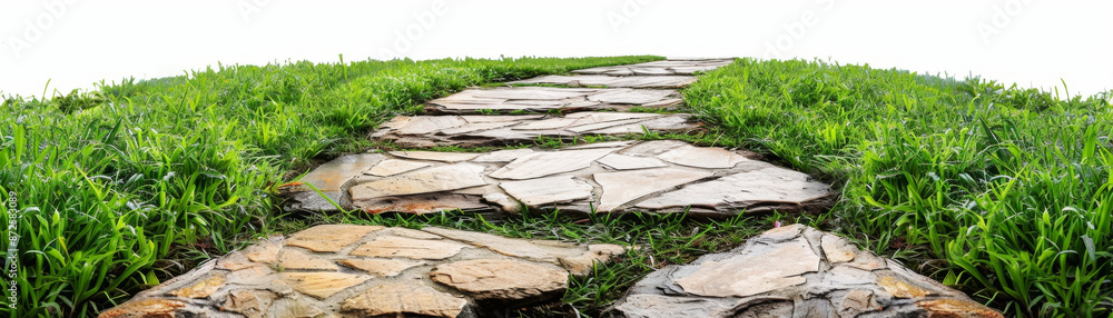 Tranquil stone path in lush green field Tranquil stone path in lush green field