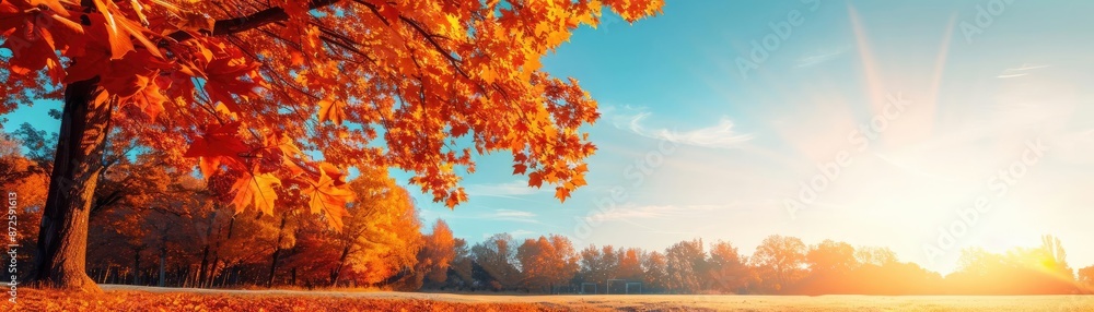Colorful autumn trees in a tranquil park, vibrant foliage, and serene landscape, representing the peacefulness of fall scenery Colorful autumn trees in a tranquil park, vibrant foliage, and serene landscape, representing the peacefulness of fall scenery