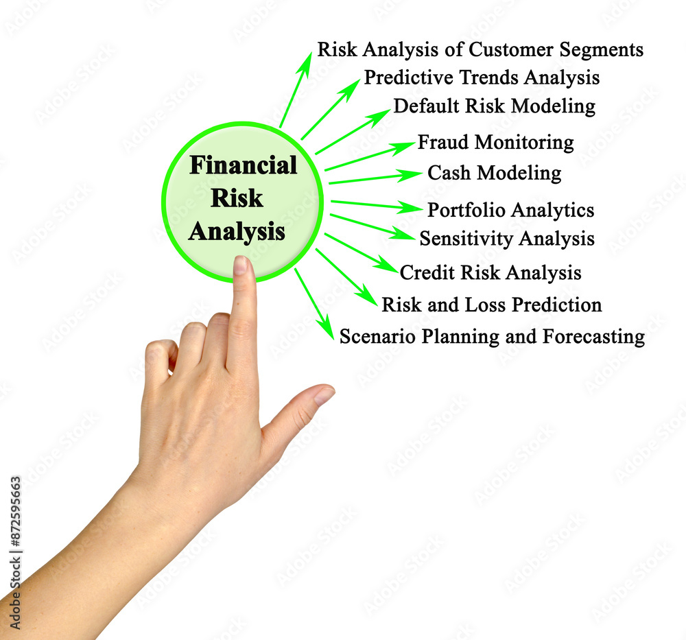 Ten Components of Financial Risk Analysis Ten Components of Financial Risk Analysis