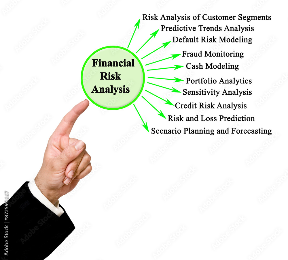 Ten Components of Financial Risk Analysis Ten Components of Financial Risk Analysis