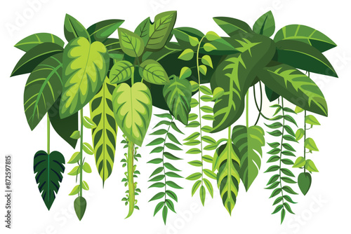 tropical creeper plants in a row vector illustration