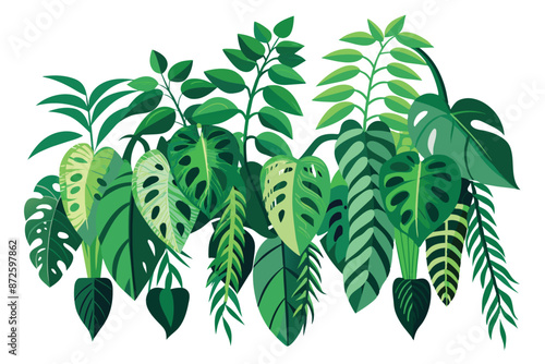 tropical creeper plants in a row vector illustration