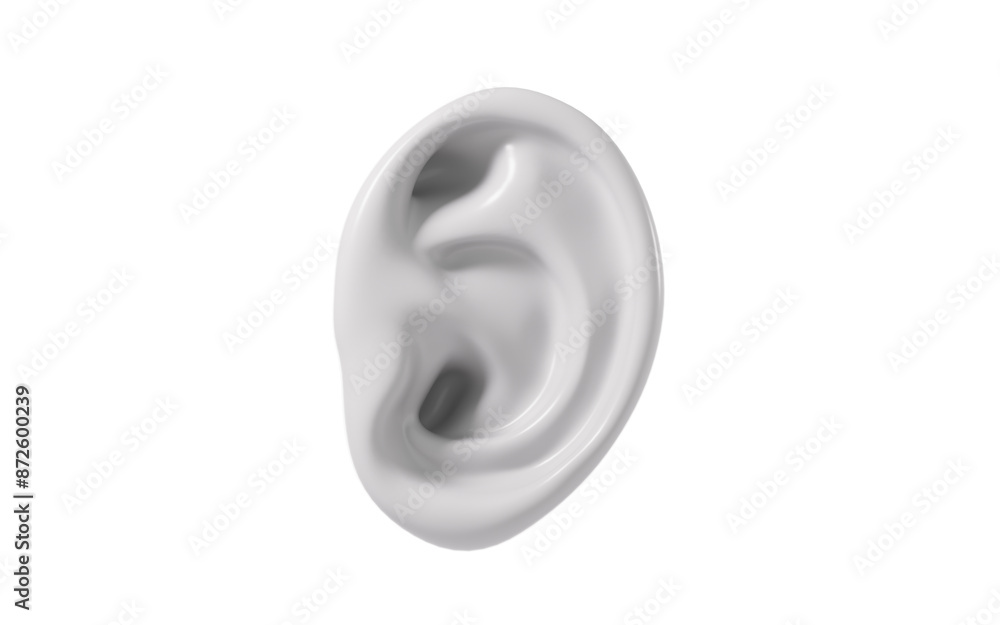Human ear model, auditory system, 3d rendering. Human ear model, auditory system, 3d rendering.