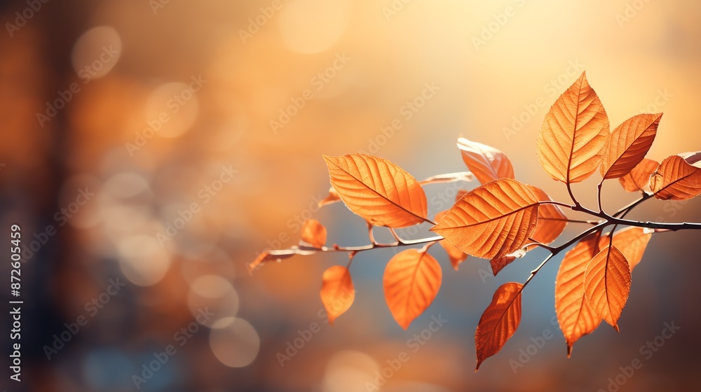 Autumn foliage with detailed leaf texture and a blurred, sunlit background Autumn foliage with detailed leaf texture and a blurred, sunlit background