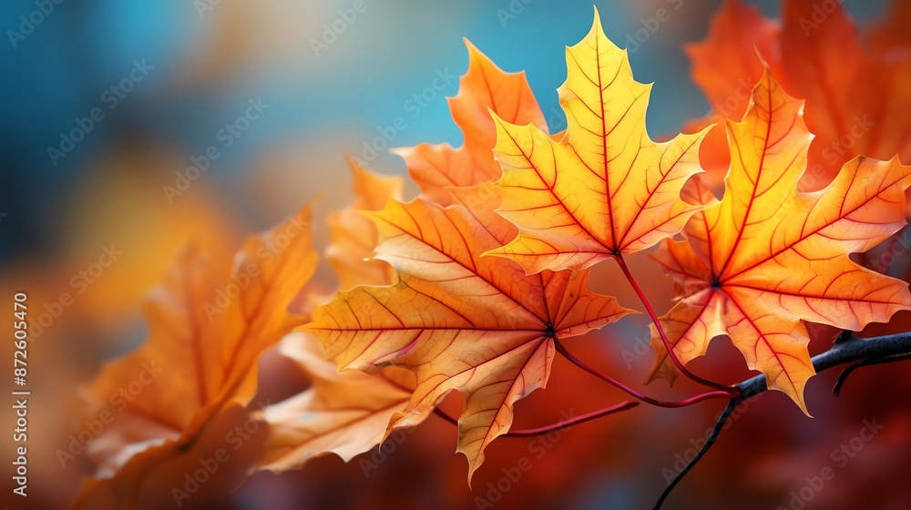 Brightly colored leaves in autumn, set against a background of warm, diffused light