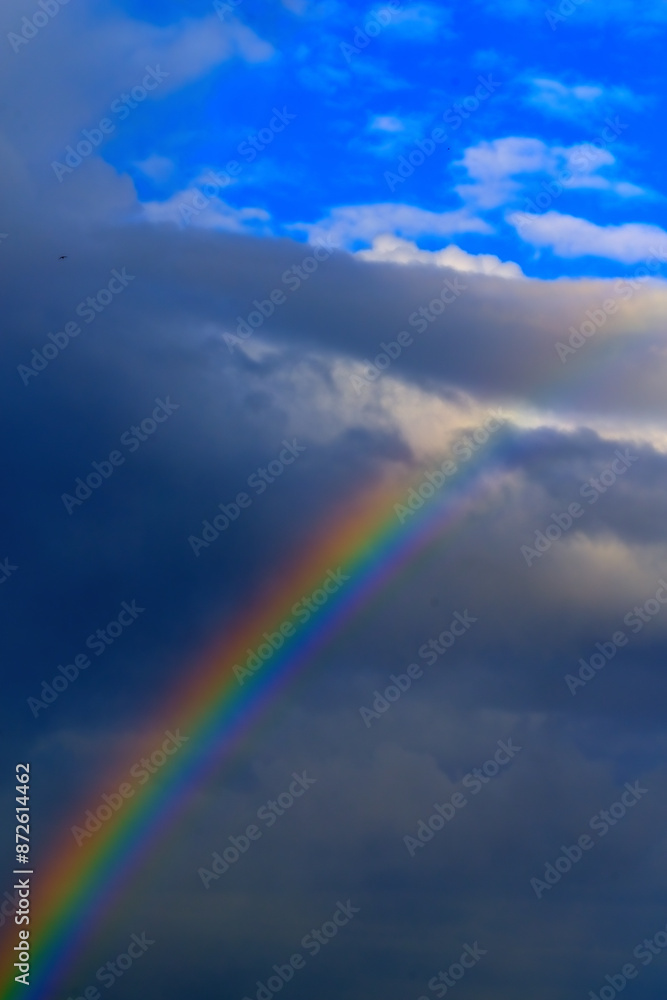 A vibrant rainbow adorns the sky alongside fluffy clouds in the atmosphere A vibrant rainbow adorns the sky alongside fluffy clouds in the atmosphere