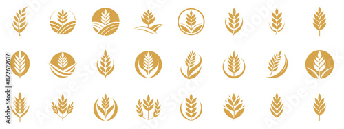 Wheat icon, golden grain logo. Vector cartoon illustration set, oat field emblem.