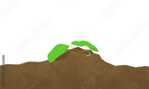しおれた双葉の新芽のイラスト