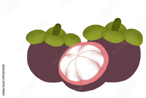 mangosteen  photo