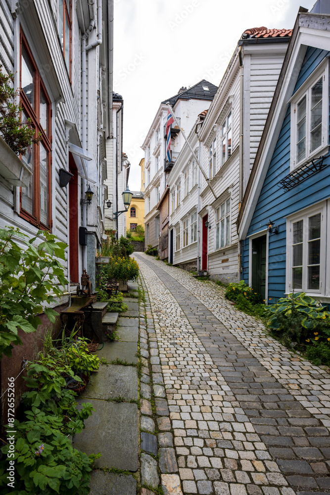 Obraz premium Charming alleyway with cobblestone path in old town in Bergen, Norway