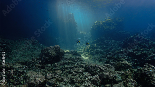 Underwater photo of rays of sunlight inside a cave. From a scuba dive in Thailand.