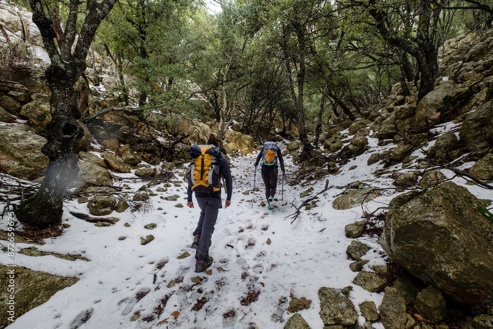 Obraz premium hikers in the Son Palou forest, Orient valley, Bunyola, Mallorca, Balearic Islands, Spain