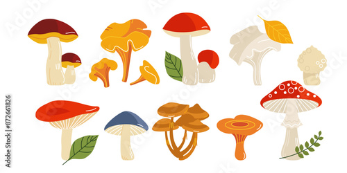 set of mushrooms in a flat cartoon style isolated on a white background in a horizontal format. a large autumn set of popular mushrooms. stock vector illustration, EPS 10