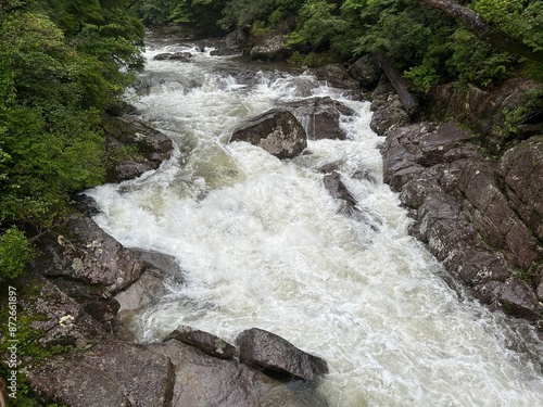 Yakusugi Land is a nature park populated by a number of yakusugi. The park is one of the most accessible places on Yakushima to see the ancient cedar trees. photo