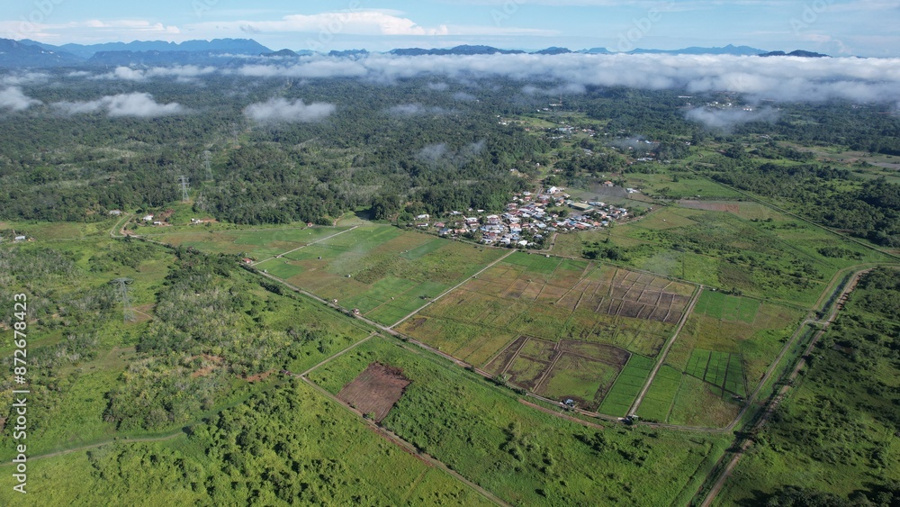 Kuching, Malaysia - July 4 2024: Aerial View of The Skuduk Paddy Field Kuching, Malaysia - July 4 2024: Aerial View of The Skuduk Paddy Field