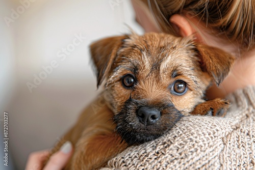Woman embracing and snuggling with a Border Terrier puppy in her residence.