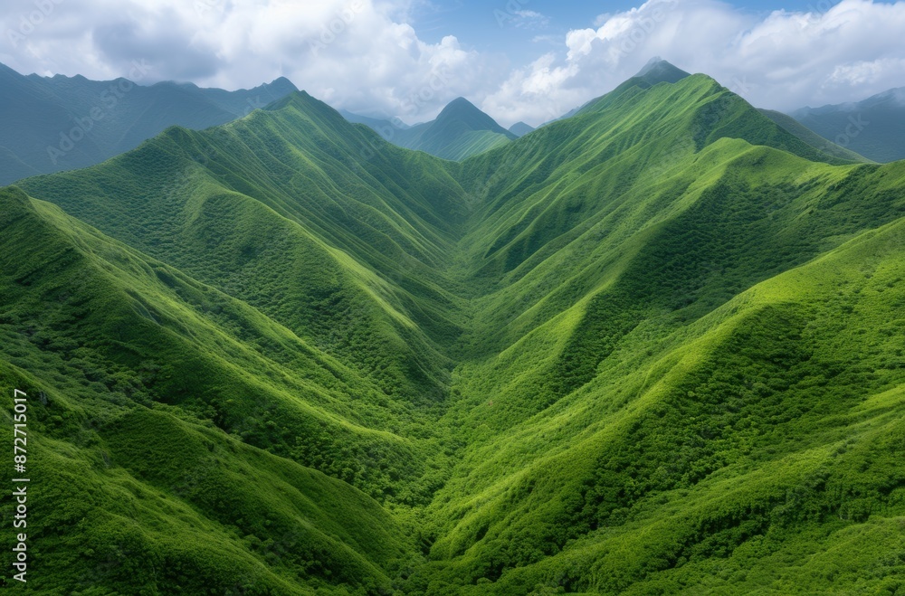 Obraz premium Lush green mountain landscape