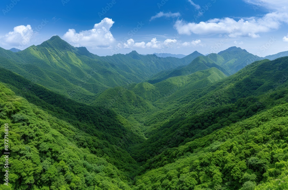 Fototapeta premium Lush green mountain landscape with blue sky