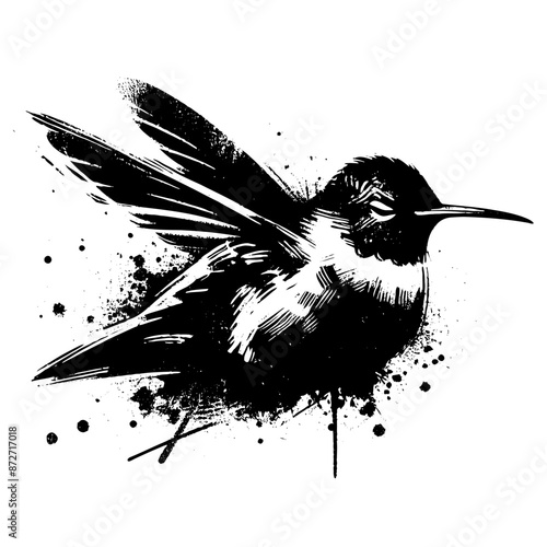 Hummingbird in illustration in brush stroke painting, photo