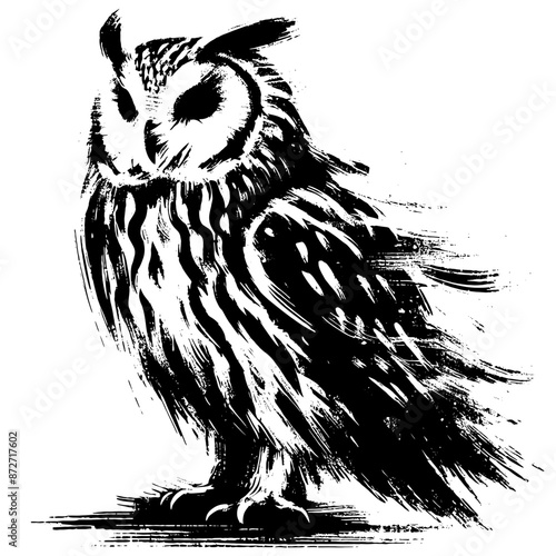 Owl in illustration in brush stroke painting, photo