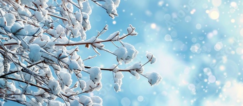 Winter scene with snow-cove...